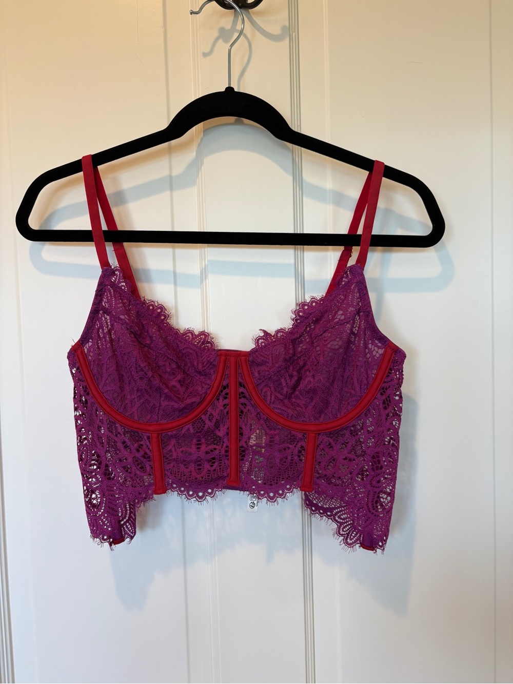 Anthropologie Fuchsia Lace Longline Bralette Bustier